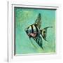 Fish II-Gregory Gorham-Framed Art Print