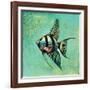 Fish II-Gregory Gorham-Framed Art Print