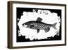 Fish II-Sarah Adams-Framed Art Print