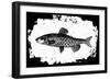 Fish II-Sarah Adams-Framed Art Print