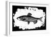 Fish II-Sarah Adams-Framed Art Print