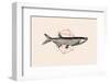 Fish in Geometrics Nº2-Florent Bodart-Framed Photographic Print