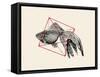 Fish in Geometrics Nº3-Florent Bodart-Framed Stretched Canvas