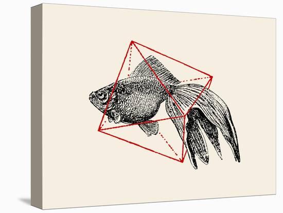 Fish in Geometrics Nº3-Florent Bodart-Stretched Canvas
