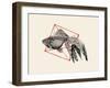 Fish in Geometrics Nº3-Florent Bodart-Framed Photographic Print