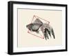 Fish in Geometrics Nº3-Florent Bodart-Framed Photographic Print