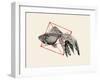 Fish in Geometrics Nº3-Florent Bodart-Framed Photographic Print