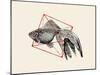 Fish in Geometrics Nº3-Florent Bodart-Mounted Photographic Print