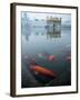 Fish in Lake Against Golden Temple in Amritsar, Punjab, India-David H. Wells-Framed Photographic Print