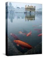 Fish in Lake Against Golden Temple in Amritsar, Punjab, India-David H. Wells-Stretched Canvas