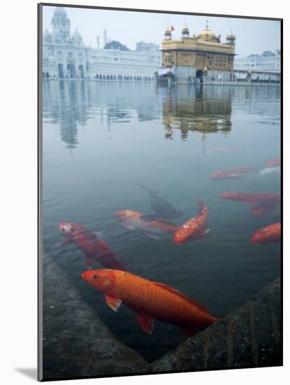 Fish in Lake Against Golden Temple in Amritsar, Punjab, India-David H. Wells-Mounted Photographic Print