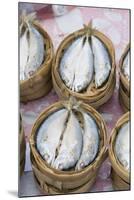 Fish in Market, Luang Prabang, Laos-Robert Harding-Mounted Photographic Print