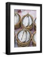 Fish in Market, Luang Prabang, Laos-Robert Harding-Framed Photographic Print