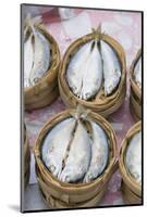 Fish in Market, Luang Prabang, Laos-Robert Harding-Mounted Photographic Print