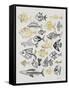 Fish Inklings in Black and Gold Ink-Cat Coquillette-Framed Stretched Canvas