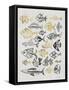 Fish Inklings in Black and Gold Ink-Cat Coquillette-Framed Stretched Canvas