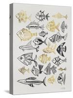 Fish Inklings in Black and Gold Ink-Cat Coquillette-Stretched Canvas