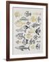 Fish Inklings in Black and Gold Ink-Cat Coquillette-Framed Art Print