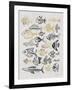 Fish Inklings in Black and Gold Ink-Cat Coquillette-Framed Art Print