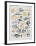 Fish Inklings in Black and Gold Ink-Cat Coquillette-Framed Art Print