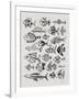 Fish Inklings in Black Ink-Cat Coquillette-Framed Art Print