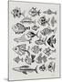 Fish Inklings in Black Ink-Cat Coquillette-Mounted Art Print