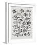 Fish Inklings in Black Ink-Cat Coquillette-Framed Art Print