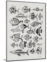Fish Inklings in Black Ink-Cat Coquillette-Mounted Art Print