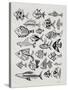 Fish Inklings in Black Ink-Cat Coquillette-Stretched Canvas