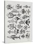 Fish Inklings in Black Ink-Cat Coquillette-Stretched Canvas