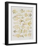 Fish Inklings in Gold Ink-Cat Coquillette-Framed Art Print