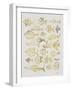 Fish Inklings in Gold Ink-Cat Coquillette-Framed Art Print