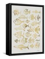 Fish Inklings in Gold Ink-Cat Coquillette-Framed Stretched Canvas