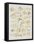 Fish Inklings in Gold Ink-Cat Coquillette-Framed Stretched Canvas
