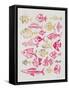 Fish Inklings in Pink and Gold Ink-Cat Coquillette-Framed Stretched Canvas