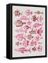 Fish Inklings in Pink Ink-Cat Coquillette-Framed Stretched Canvas