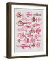 Fish Inklings in Pink Ink-Cat Coquillette-Framed Art Print