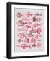 Fish Inklings in Pink Ink-Cat Coquillette-Framed Art Print