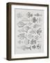 Fish Inklings in Silver Ink-Cat Coquillette-Framed Art Print