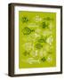 Fish Inklings on Lime-Cat Coquillette-Framed Art Print