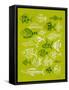 Fish Inklings on Lime-Cat Coquillette-Framed Stretched Canvas