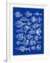 Fish Inklings on Navy-Cat Coquillette-Framed Art Print