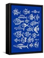 Fish Inklings on Navy-Cat Coquillette-Framed Stretched Canvas