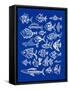 Fish Inklings on Navy-Cat Coquillette-Framed Stretched Canvas