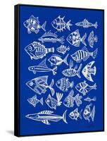 Fish Inklings on Navy-Cat Coquillette-Framed Stretched Canvas