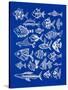 Fish Inklings on Navy-Cat Coquillette-Stretched Canvas