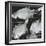 Fish, Japan, 1970-Brett Weston-Framed Photographic Print