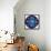 Fish Mandala XXVI-David Sheskin-Framed Stretched Canvas displayed on a wall