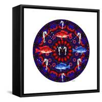 Fish Mandalas 53-David Sheskin-Framed Stretched Canvas