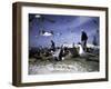 Fish Market in Morocco-Michael Brown-Framed Photographic Print